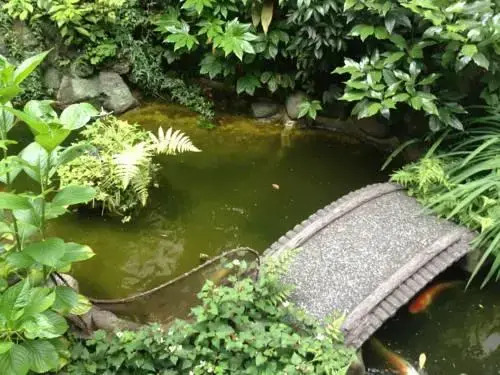 Ryokan Maizuru