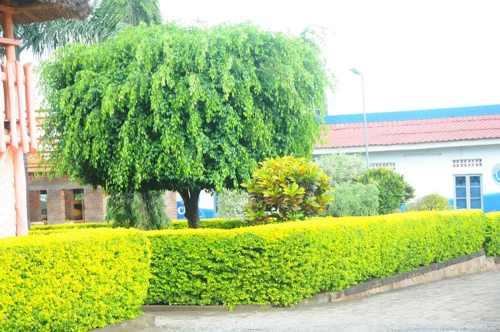 Leosim Hotel Nebbi