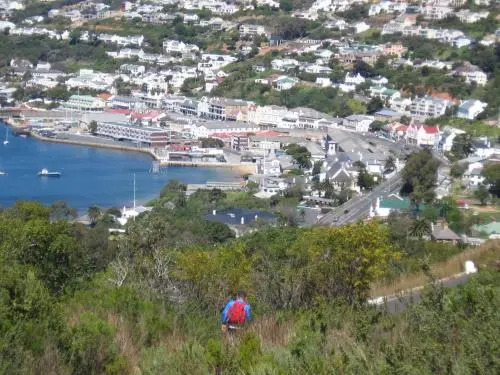 Whale Sights