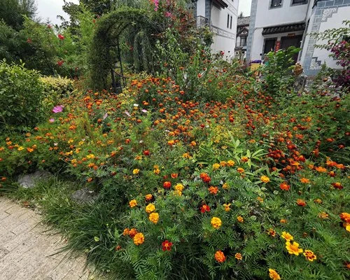 SRC@Lijiang Bojing Premier House - 4 Nights, Lijiang, China