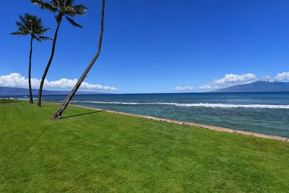 Papakea J106 in Lahaina