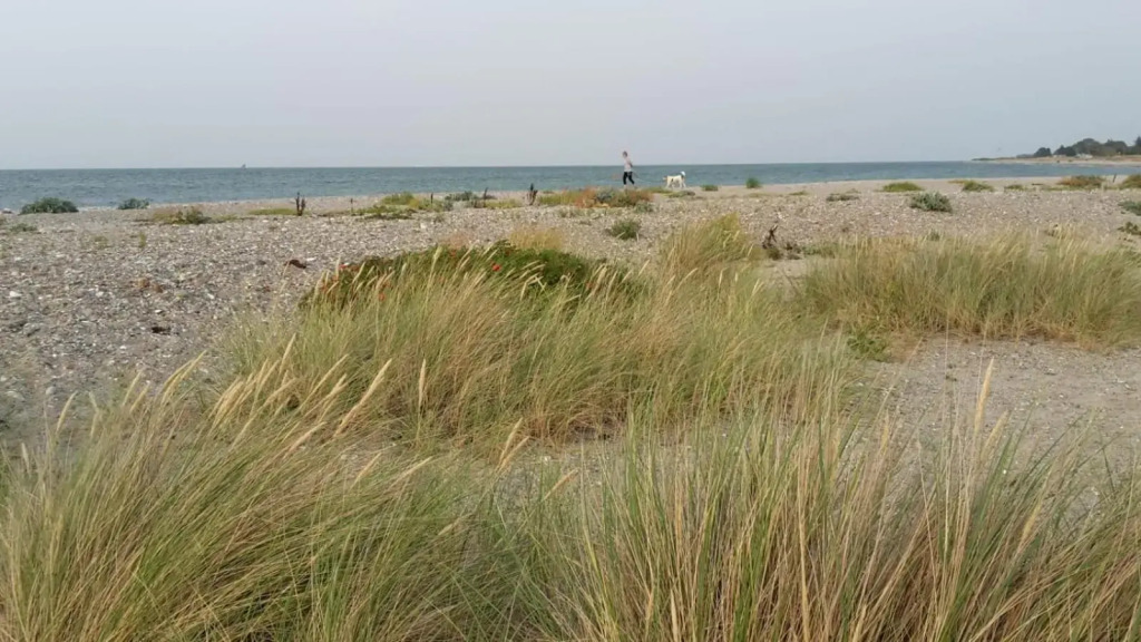 Inselloft-Fehmarn