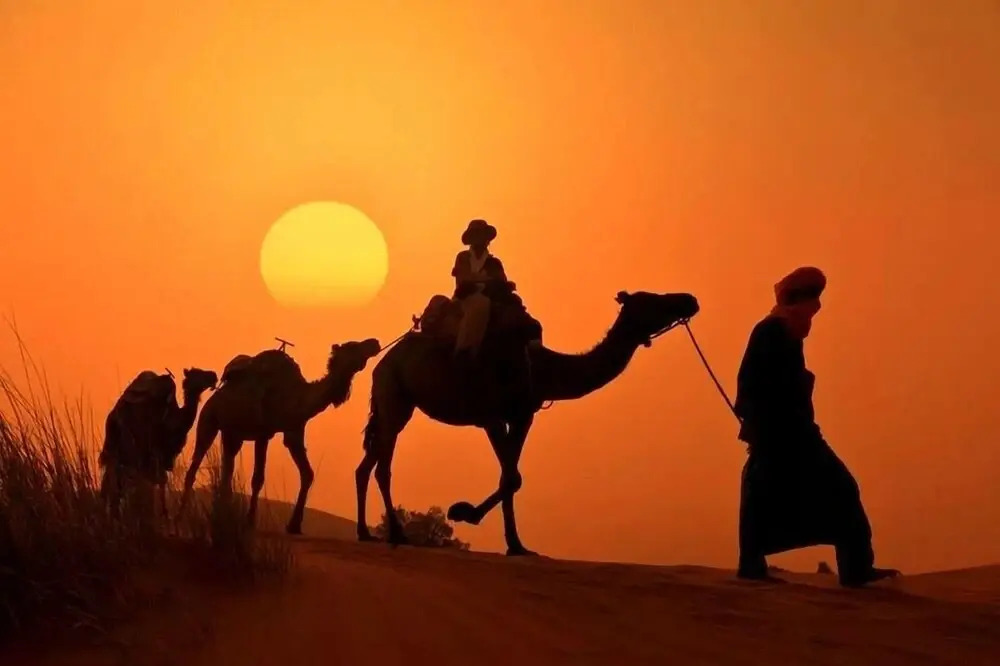 Auberge Sahara