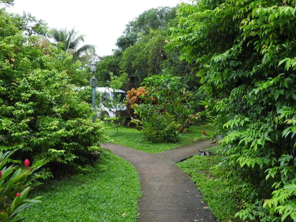 Hotel de Campo Caño Negro