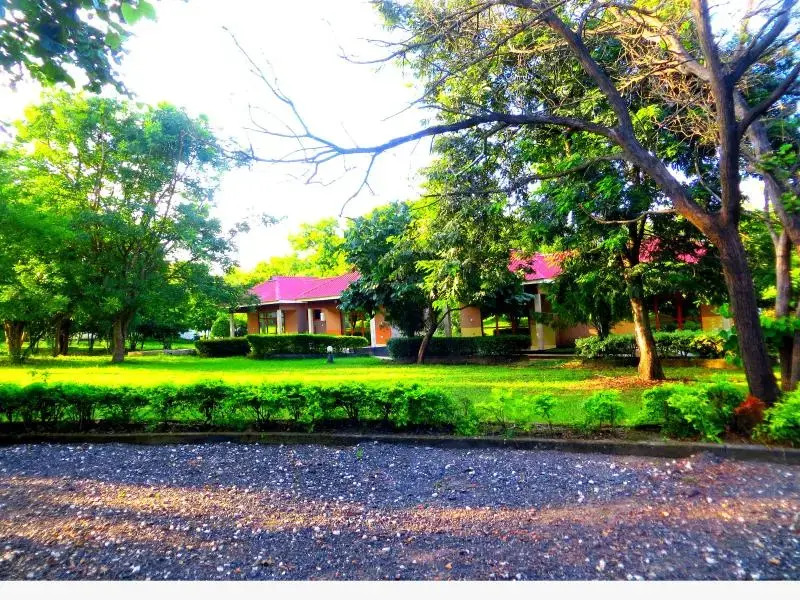 Mikumi Resort And Safari Hotel