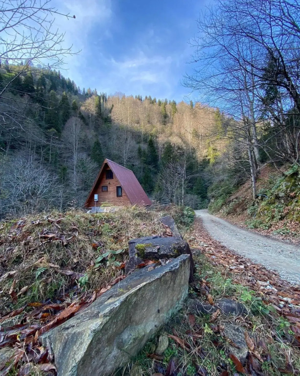 Senoz Mountain House - Bungalow