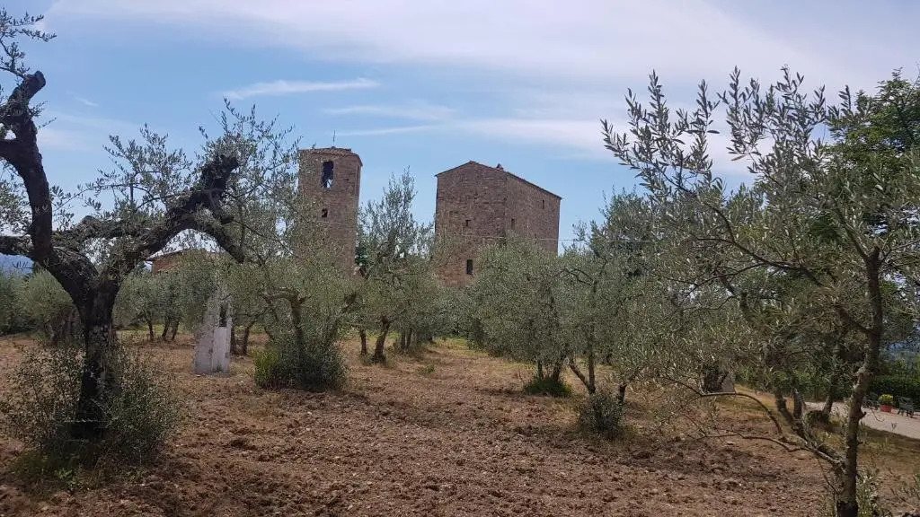 Casa Bruna - Cipresseta del Chianti