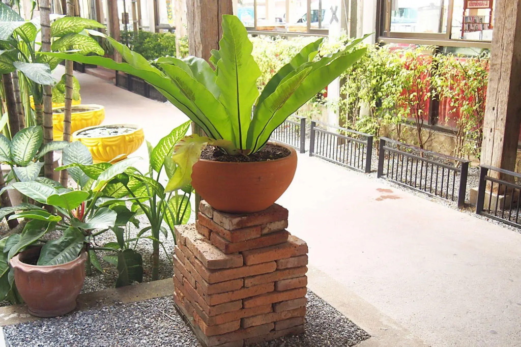 U-Sa Family Hotel