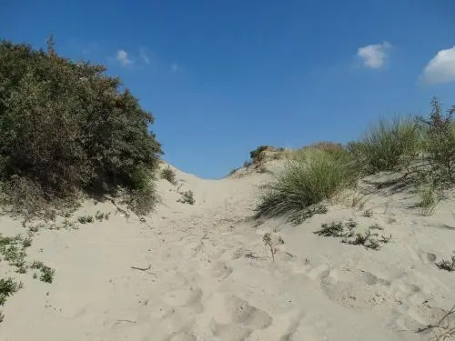 Appartement AanZee
