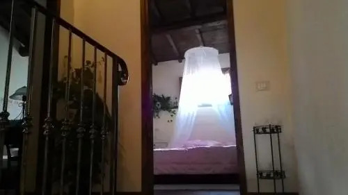 Domus Maria