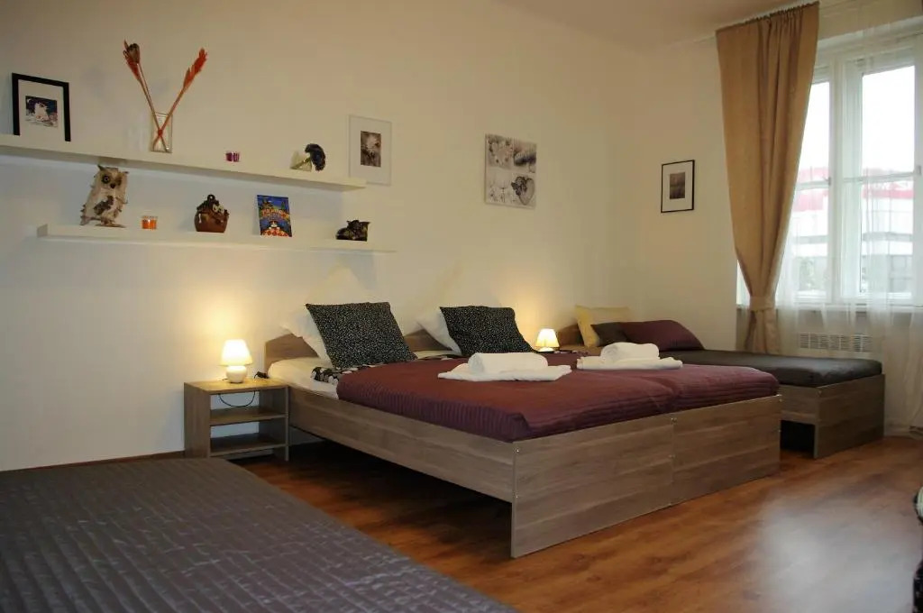 Spacious Prague View Apartment