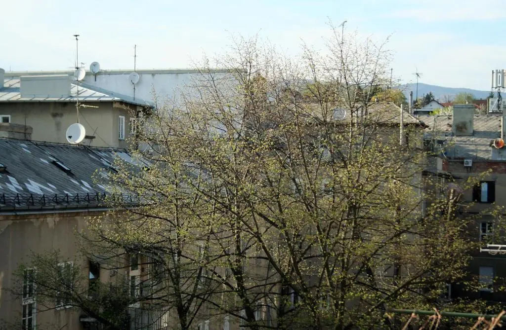 Apartments ABA Zagreb