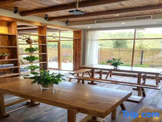 Xianju qingyinge homestay