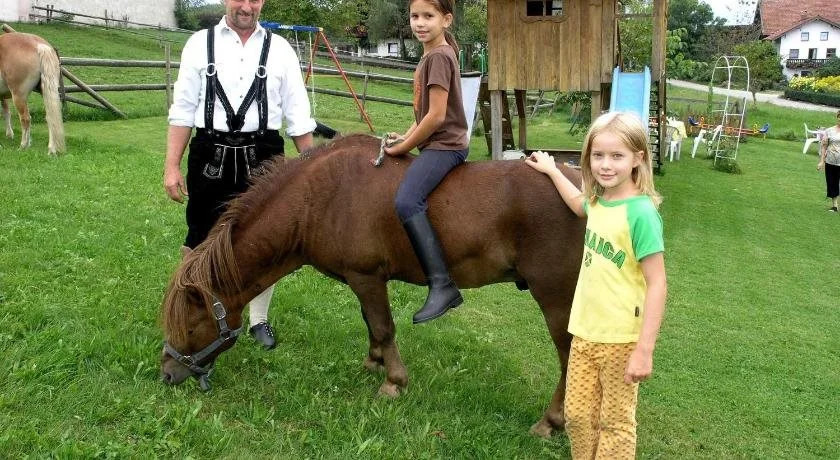 Bauernhof Berndlhof Obing