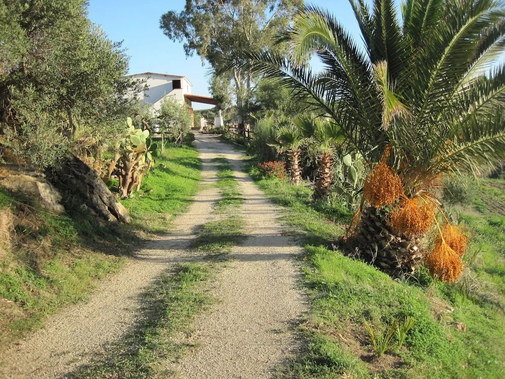 L Agave e la Palma Nana