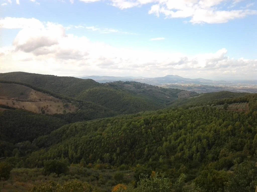 Poggio La Grognola