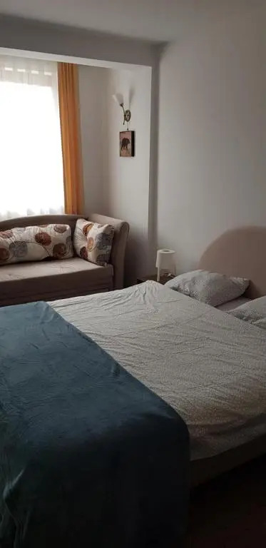Dobricin konak, Apartman 202