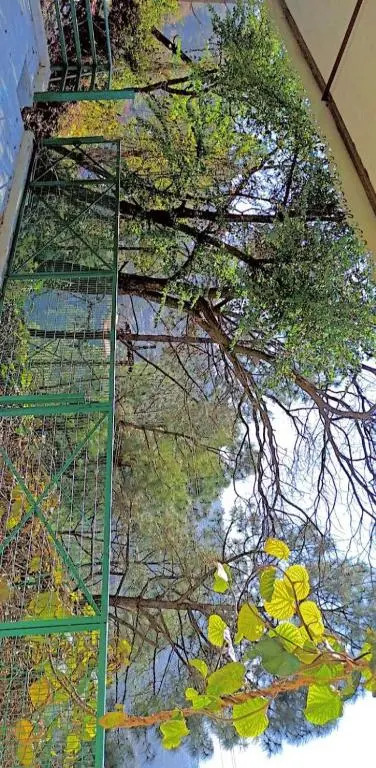 The Kiwi Shadow Guest House