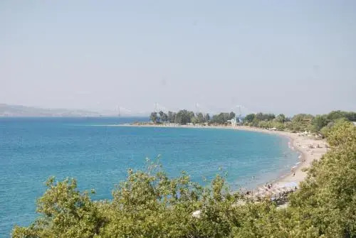 Chrisi Akti