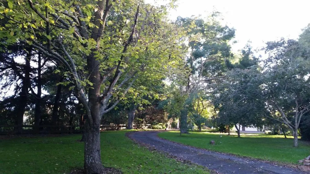 Woodbury Farm