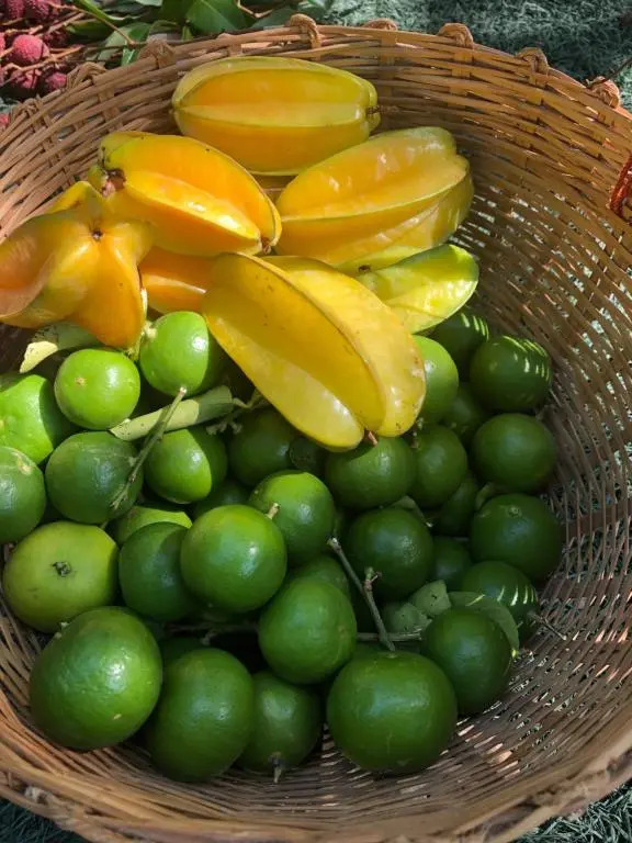 Baan Loylom Farmstay