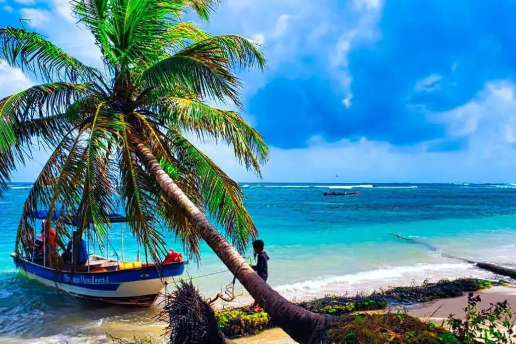 Poetry Garden Bocas Town Colon Island- Deluxe Bungalow Cabin-AC-Enjoy the Night Life