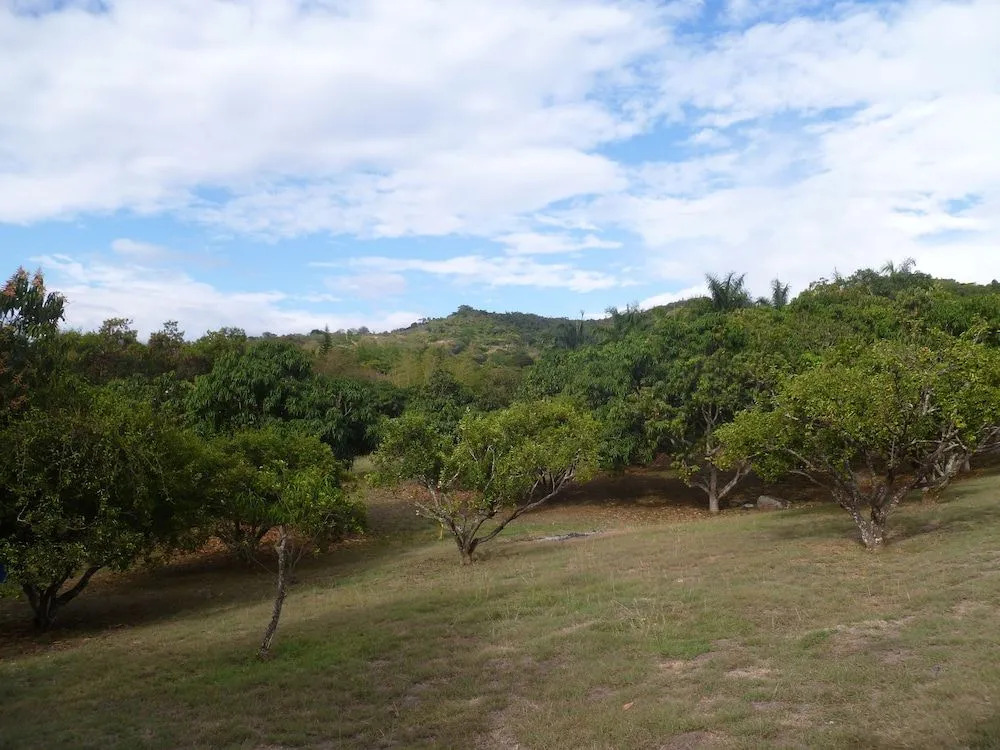 Manati - Finca Hotel