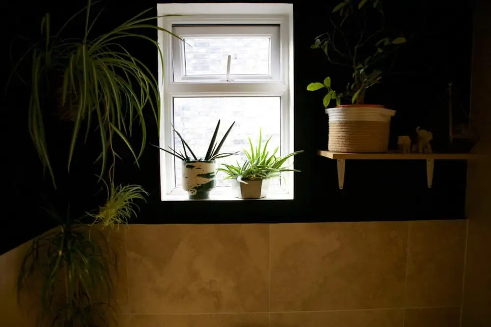 Inviting & Secluded 1BD House w/ Patio - Peckham!