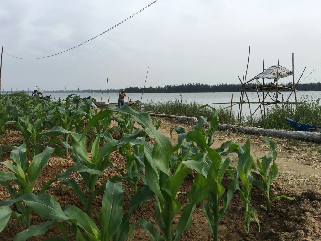 Riverside Hamlet Homestay & Villa