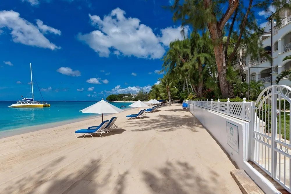 Old Trees 7 - Bella Vista by Blue Sky Luxury