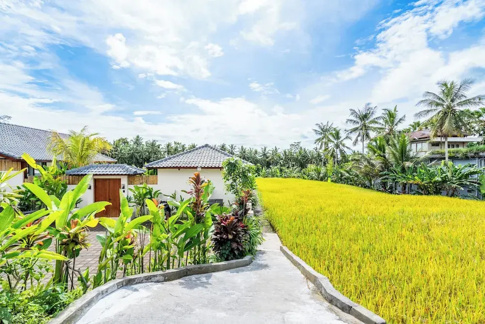 Rice Field Villa Ubud