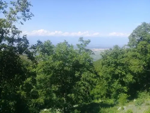 Guest House Pano