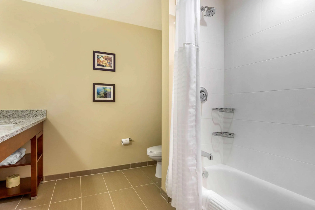 Comfort Inn & Suites Florence Center Area