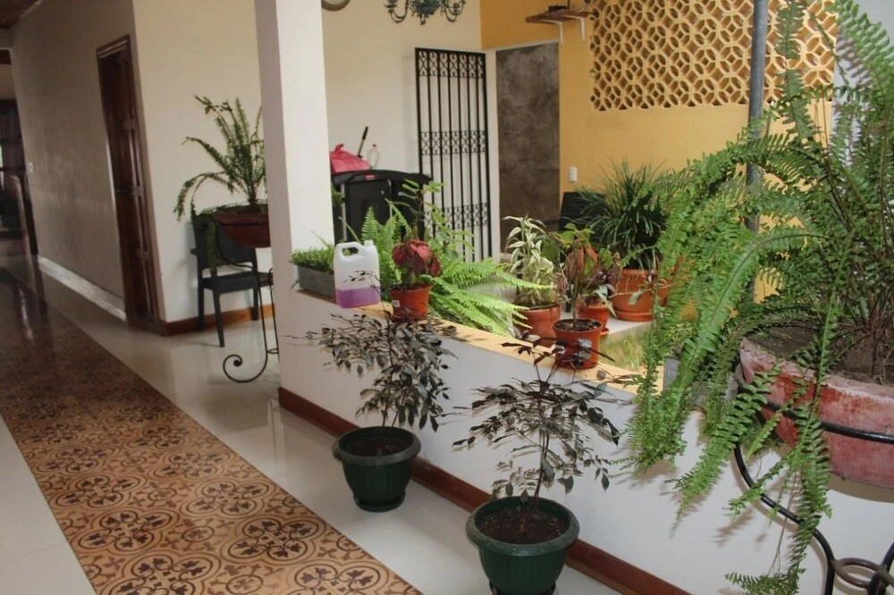Rivas Inn