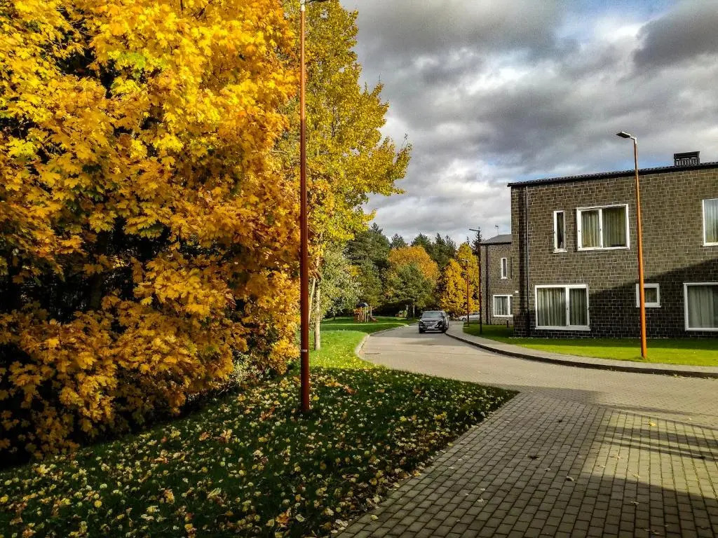 Forrest Apartments