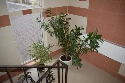 Mini-hotel on Chapayeva 3