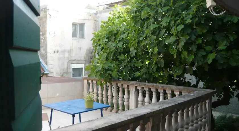 The Wild Fig