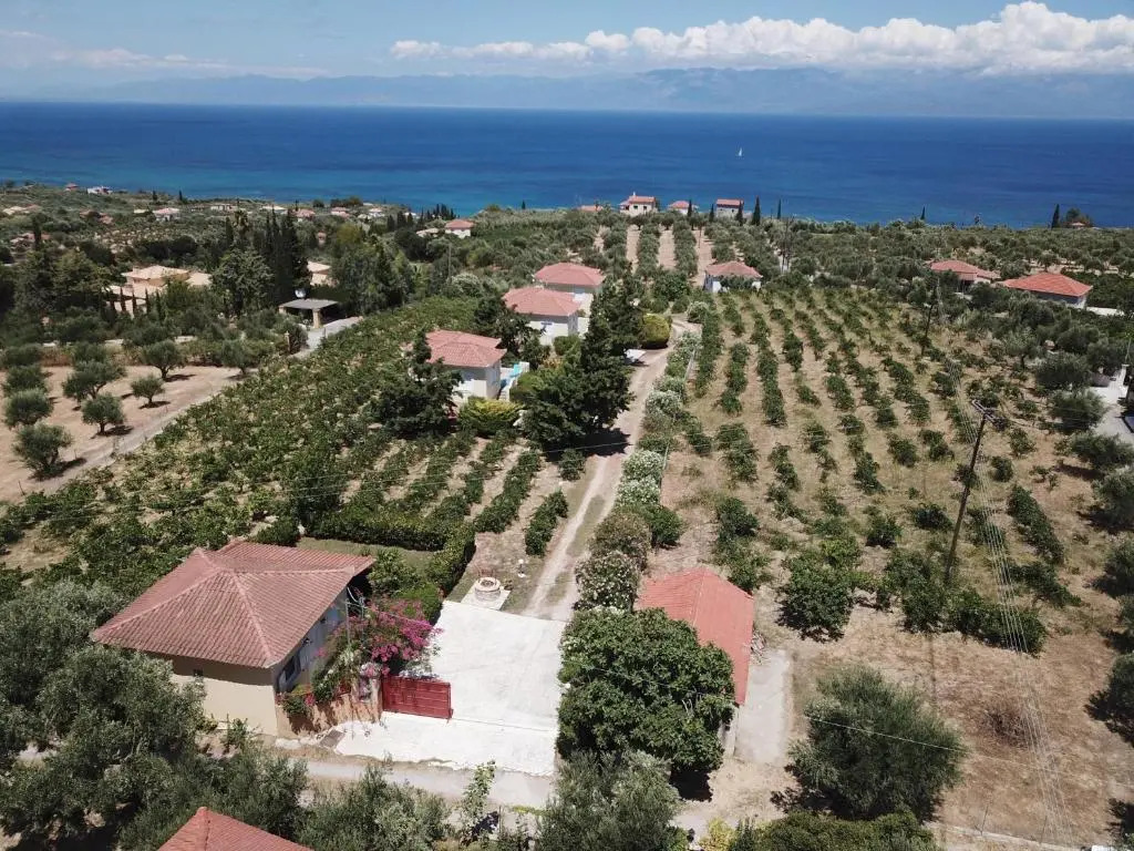 Orfanos 4