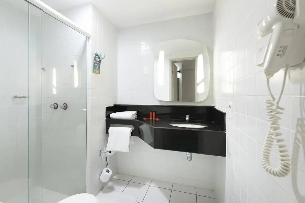 Ibis Teresina