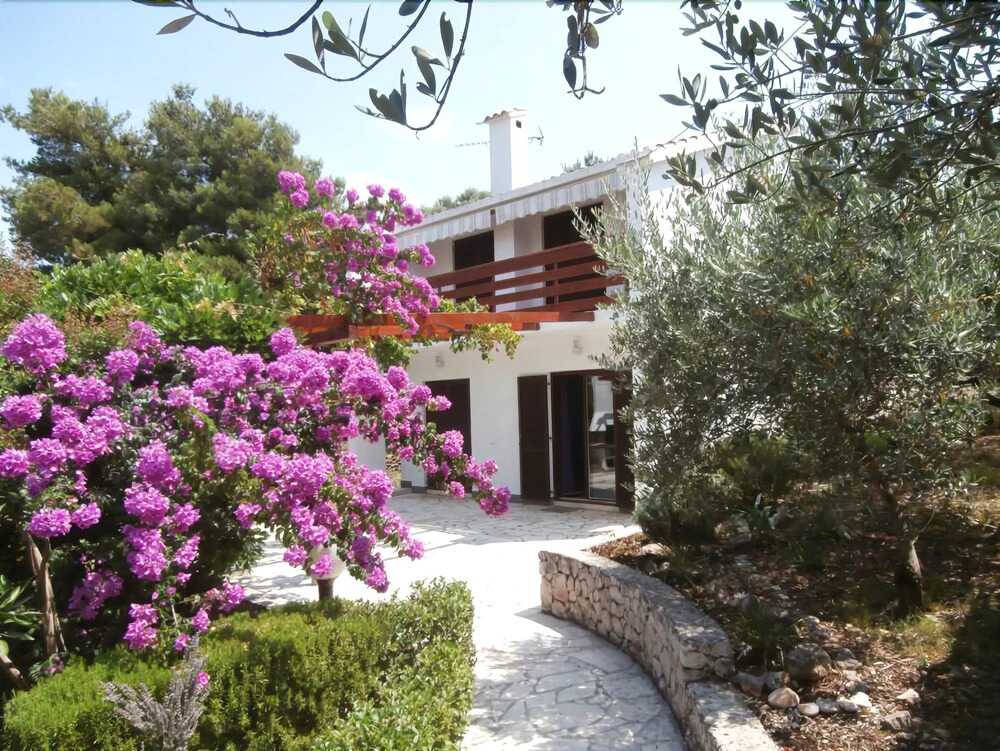 House Vesna