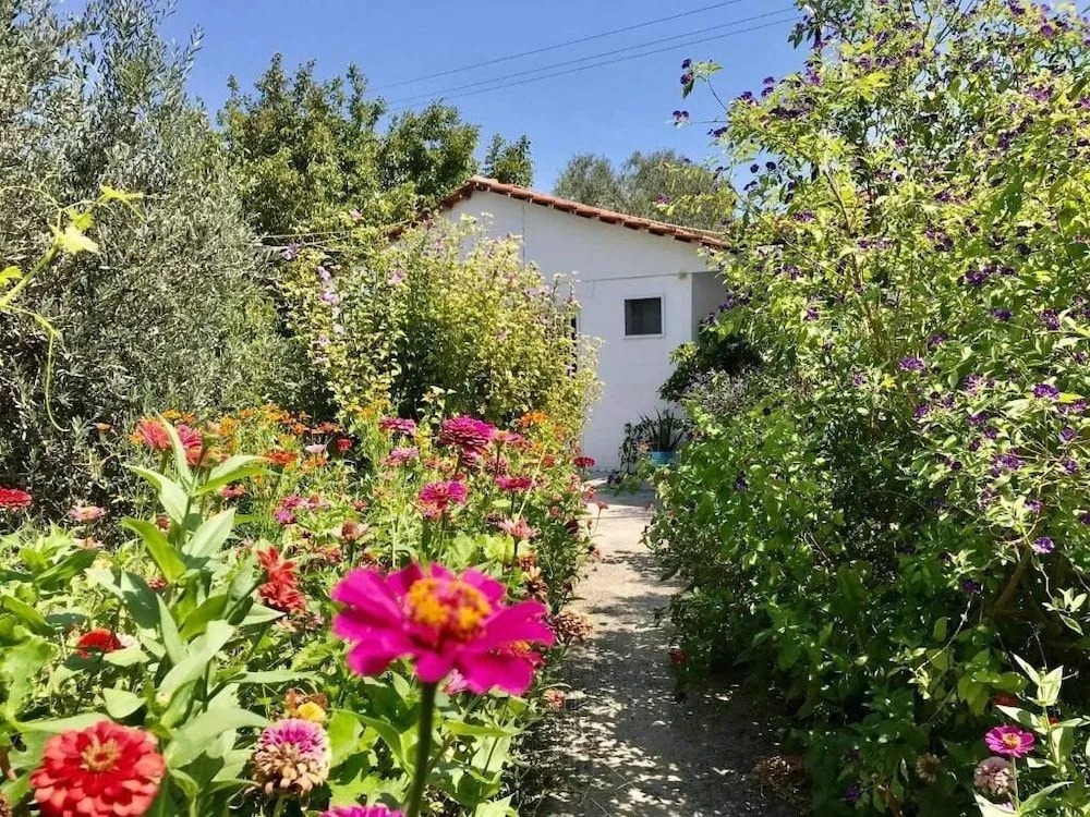 Pension Zoi