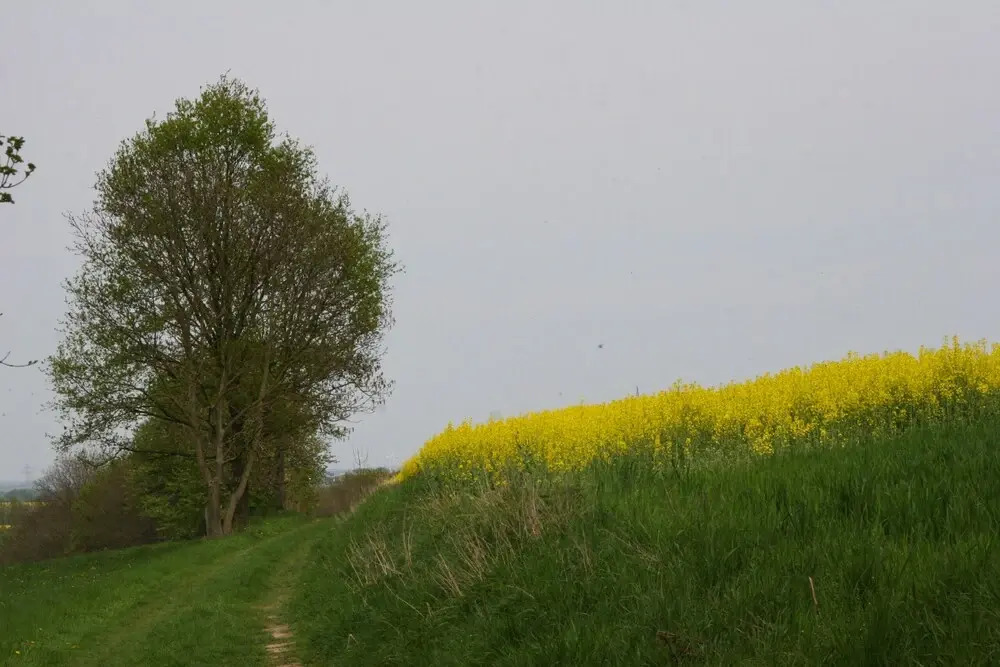 Waldpension Droyssig