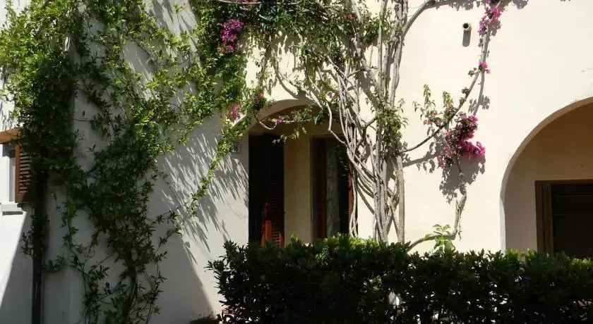 Bouganville 2