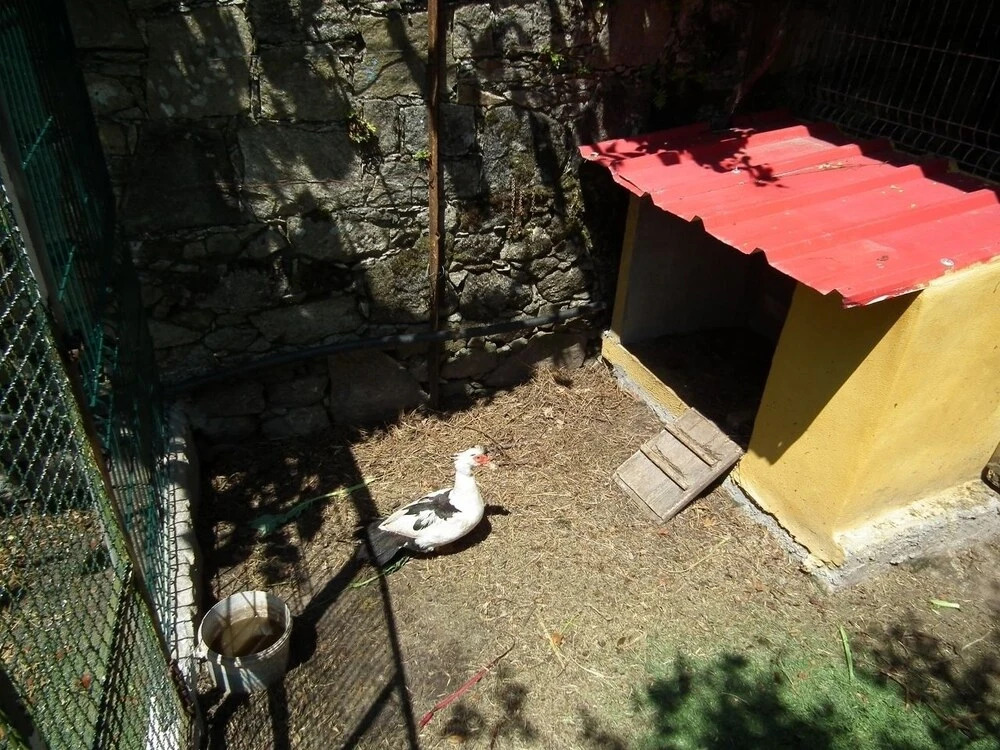 Casa Rosinha Maior