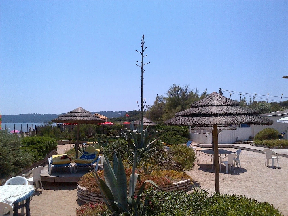 Au Grand sud