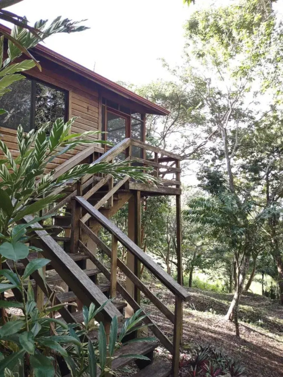 Santa Cruz Cabins