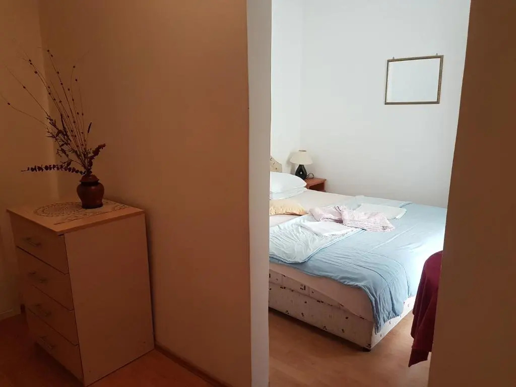 Apartment Knezevic