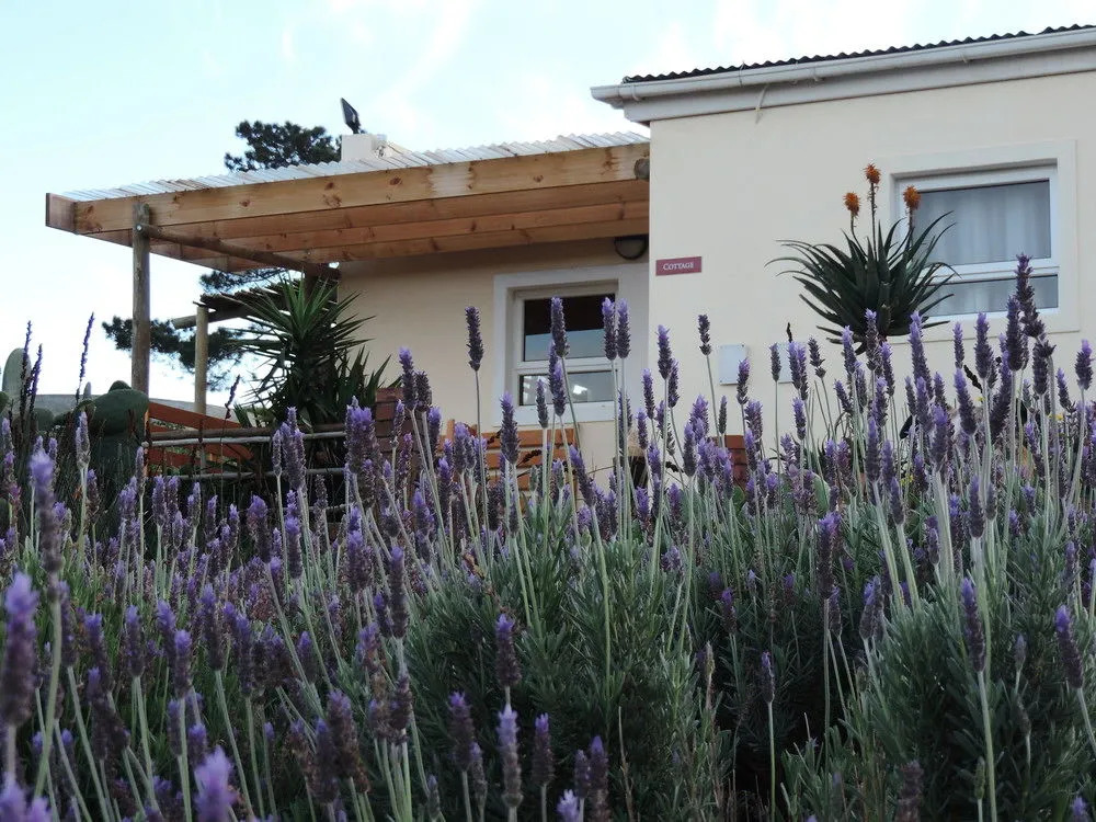 Capelands Wine Farm & Guesthouse