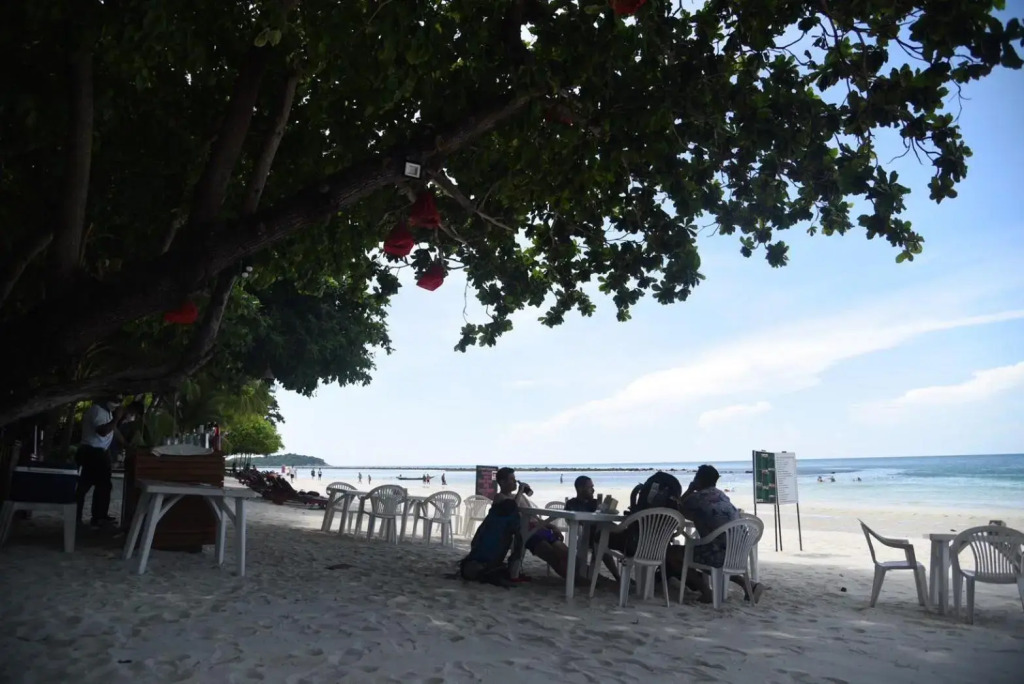 Coconut House Chaweng - Hostel