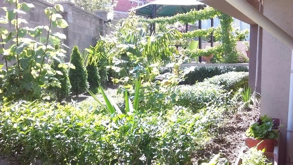 VENIS House